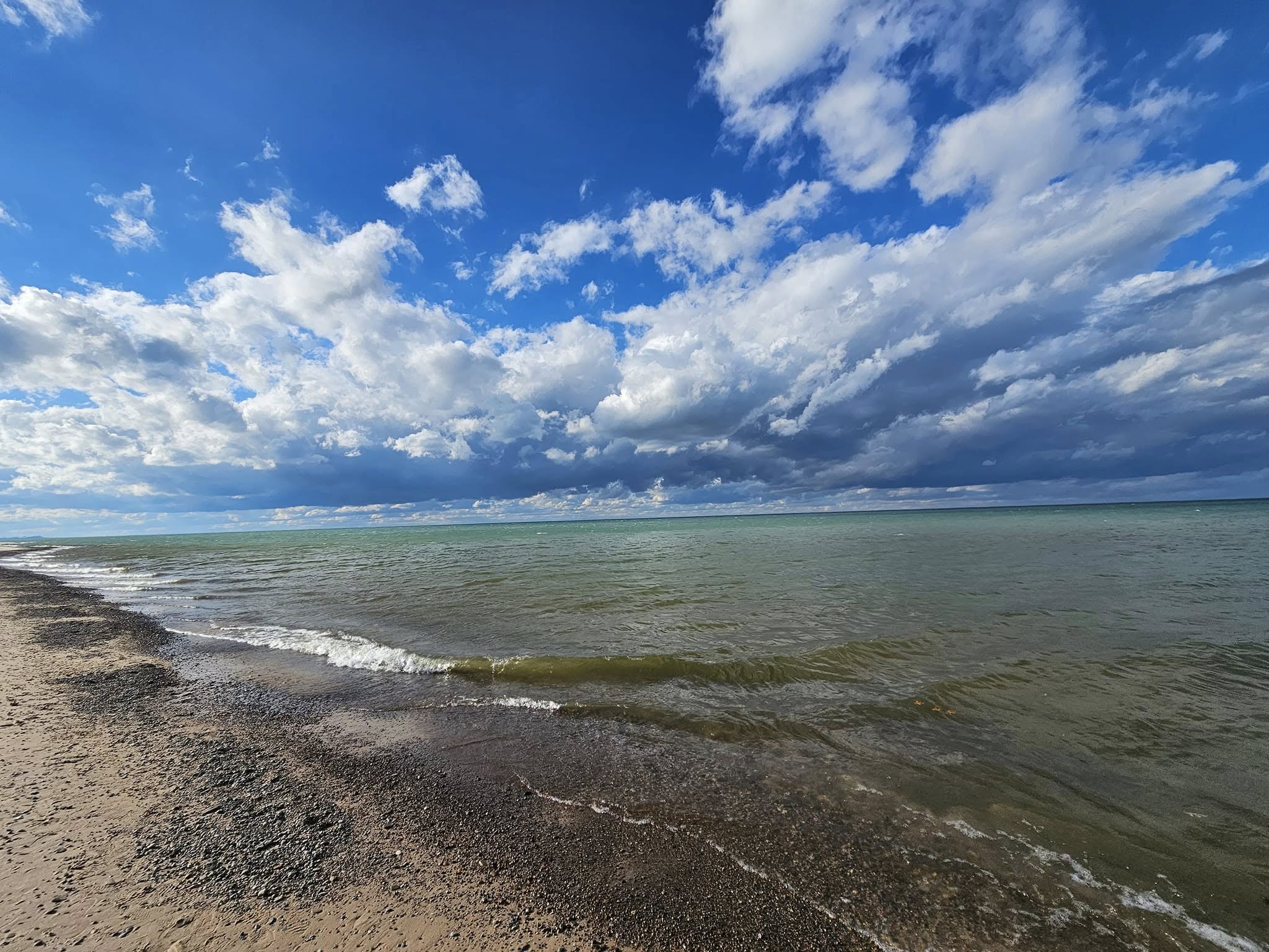 Discover the Wildlife and Beaches of Indiana Dunes